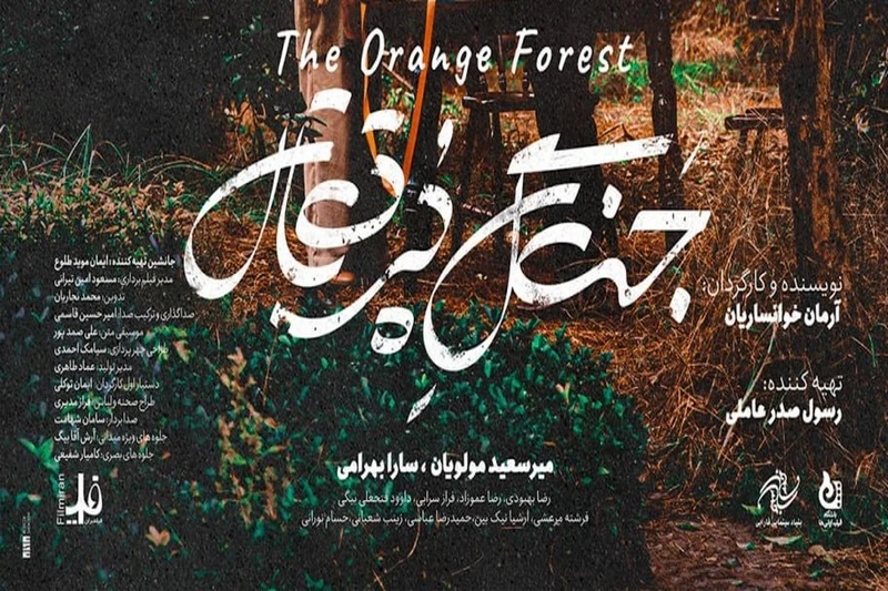 دانلود فیلم جنگل پرتقال
