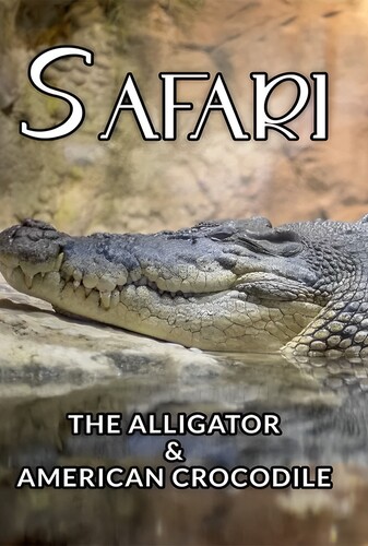 Safari: The Alligator & American Crocodile سافاری: تمساح و کروکودیل آمریکایی
