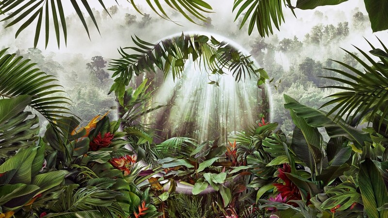 دانلود سریال The Green Planet 2022 سیاره سبز