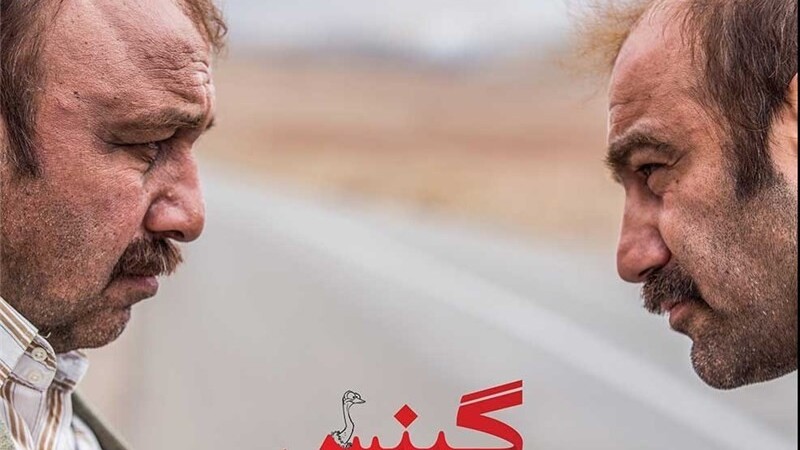 دانلود فیلم گینس