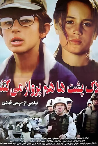 لاک پشت ها پرواز نمی کنند