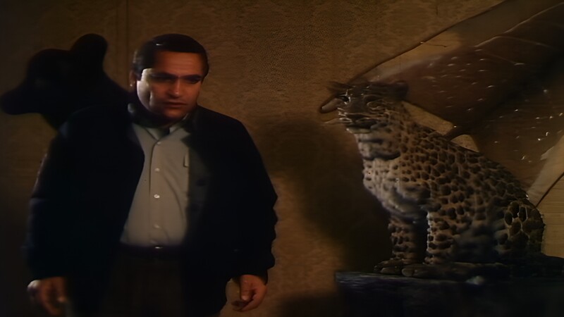 دانلود فیلم پرچم دار
