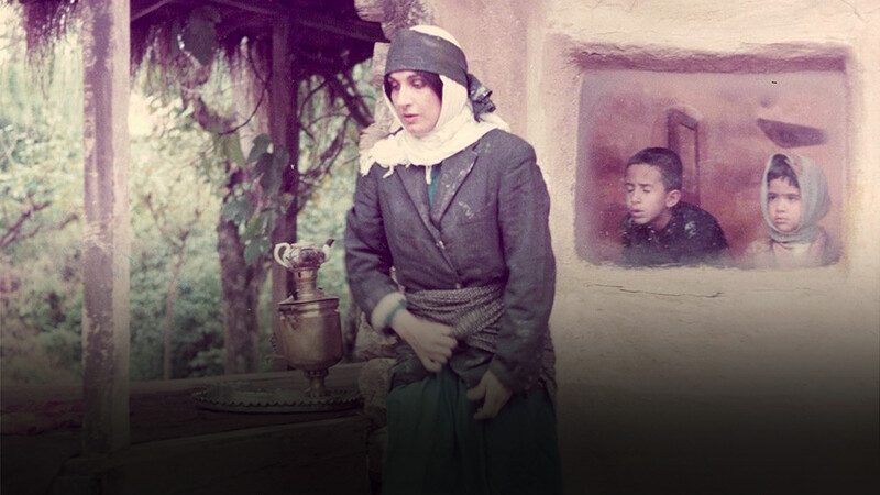 دانلود فیلم مادیان