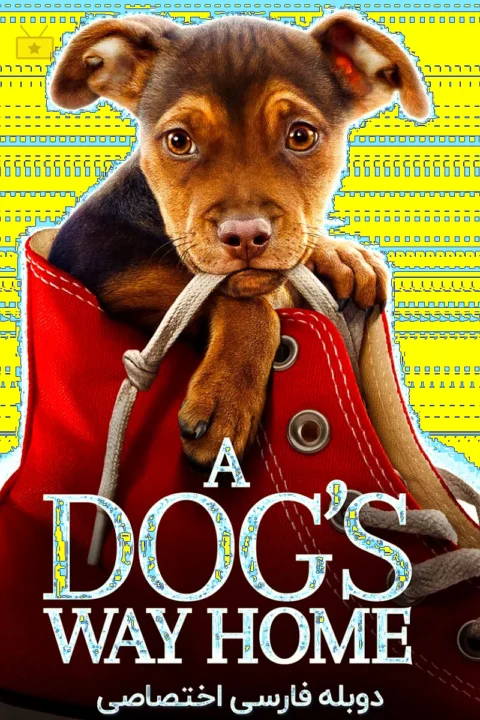 A Dog’s Way Home مسیر یک سگ به خانه