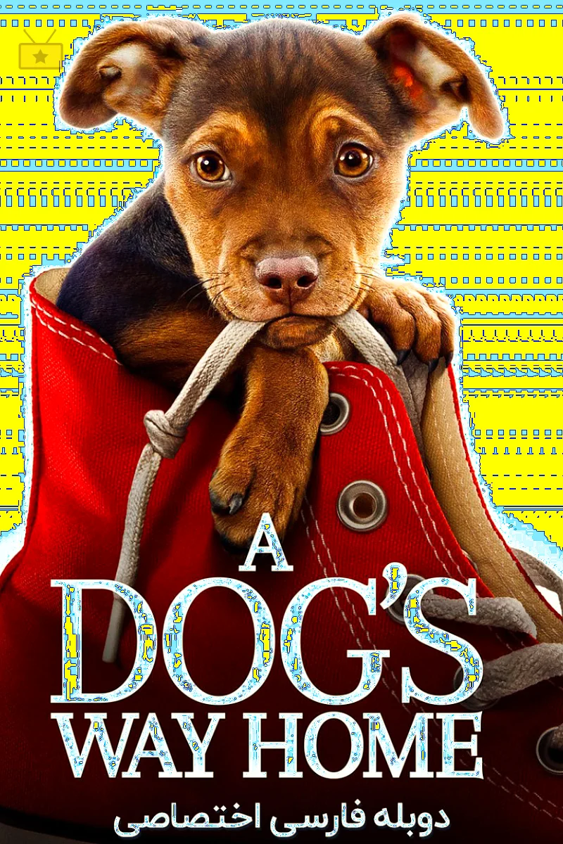 A Dog’s Way Home مسیر یک سگ به خانه